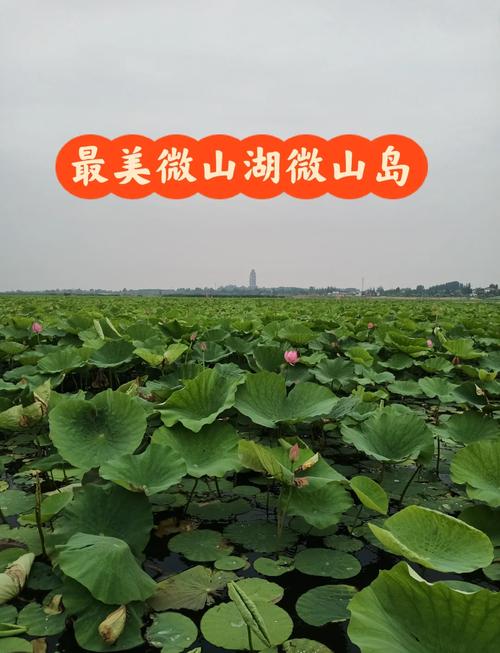 微山湖风景区旅游攻略