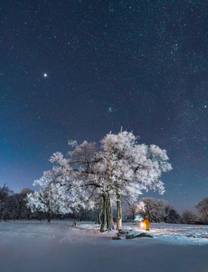 冬天可以去的旅游景点