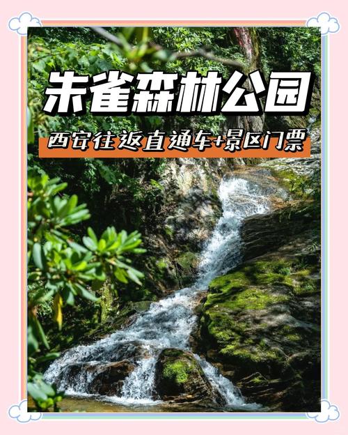 西安朱雀森林公园攻略