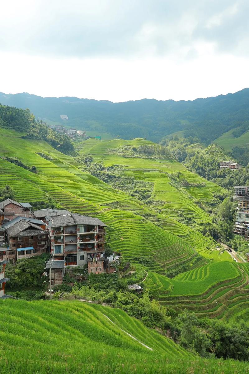 龙脊梯田金坑大寨攻略