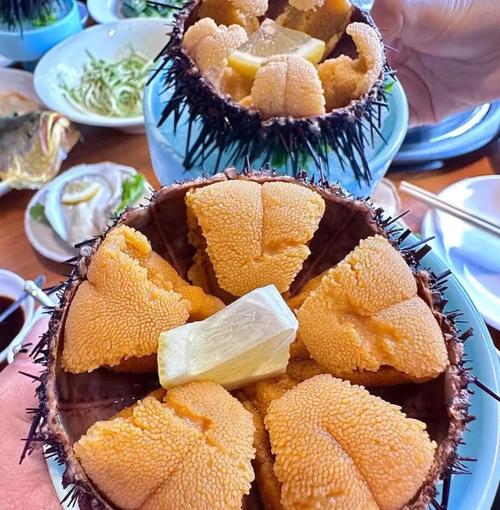 大连星海广场美食攻略