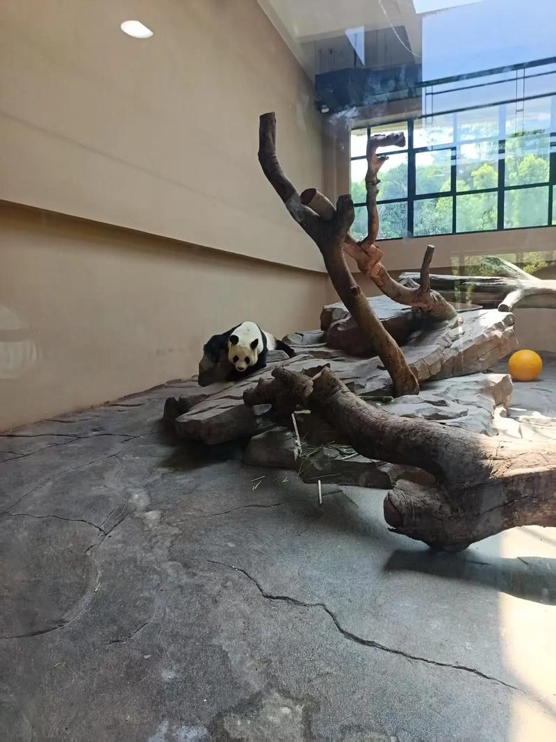 宁波雅戈尔动物园攻略