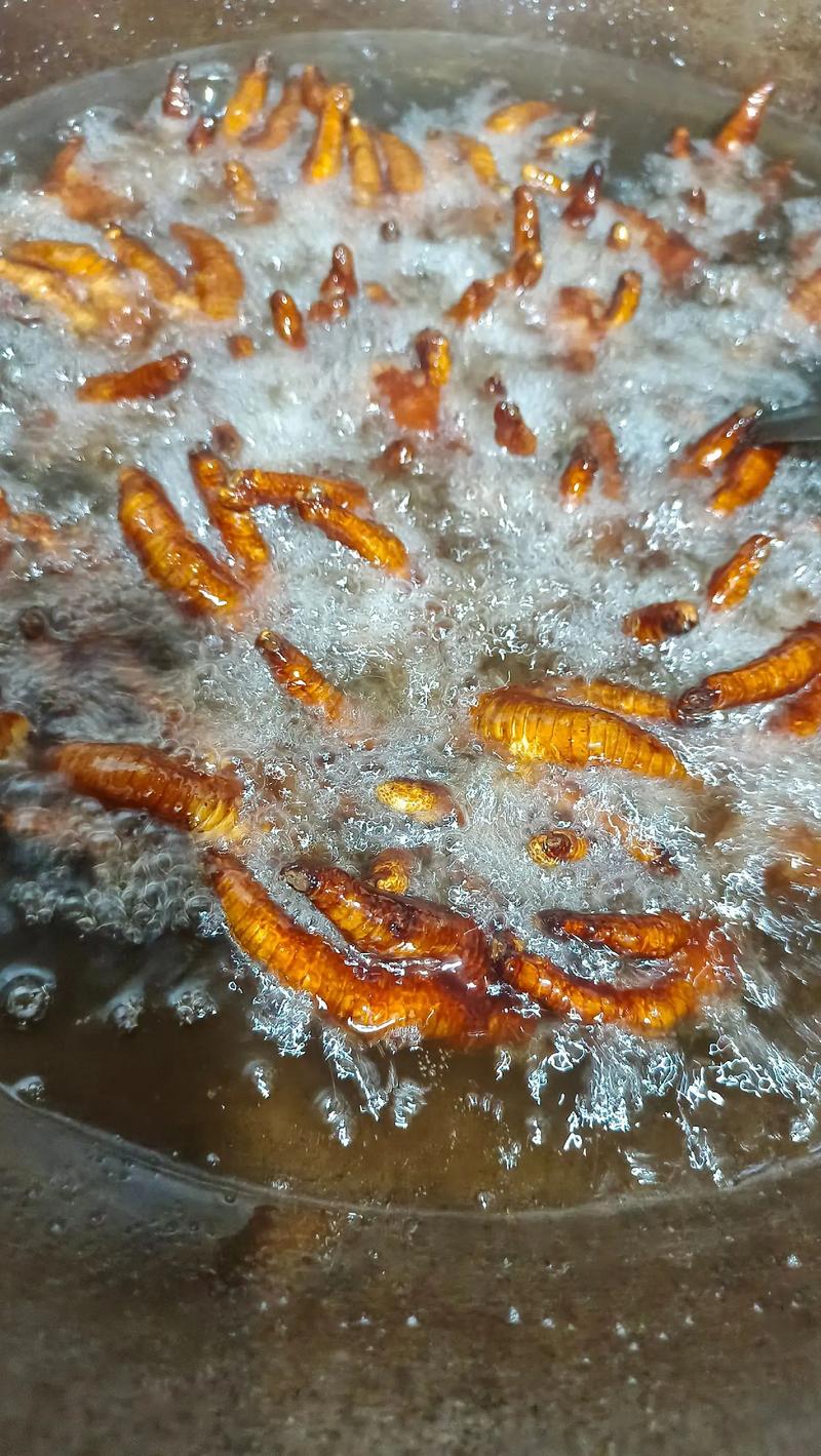 深夜放毒拉仇恨美食