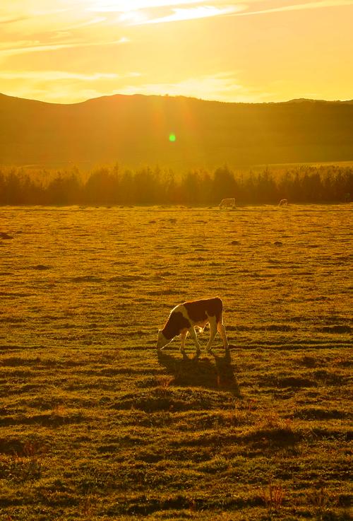 北京承德赤峰旅游景点