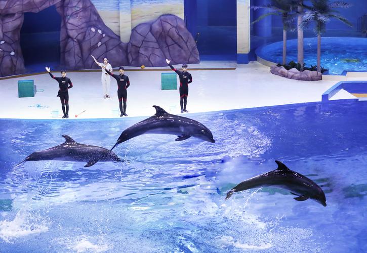 寿光极地海洋世界攻略