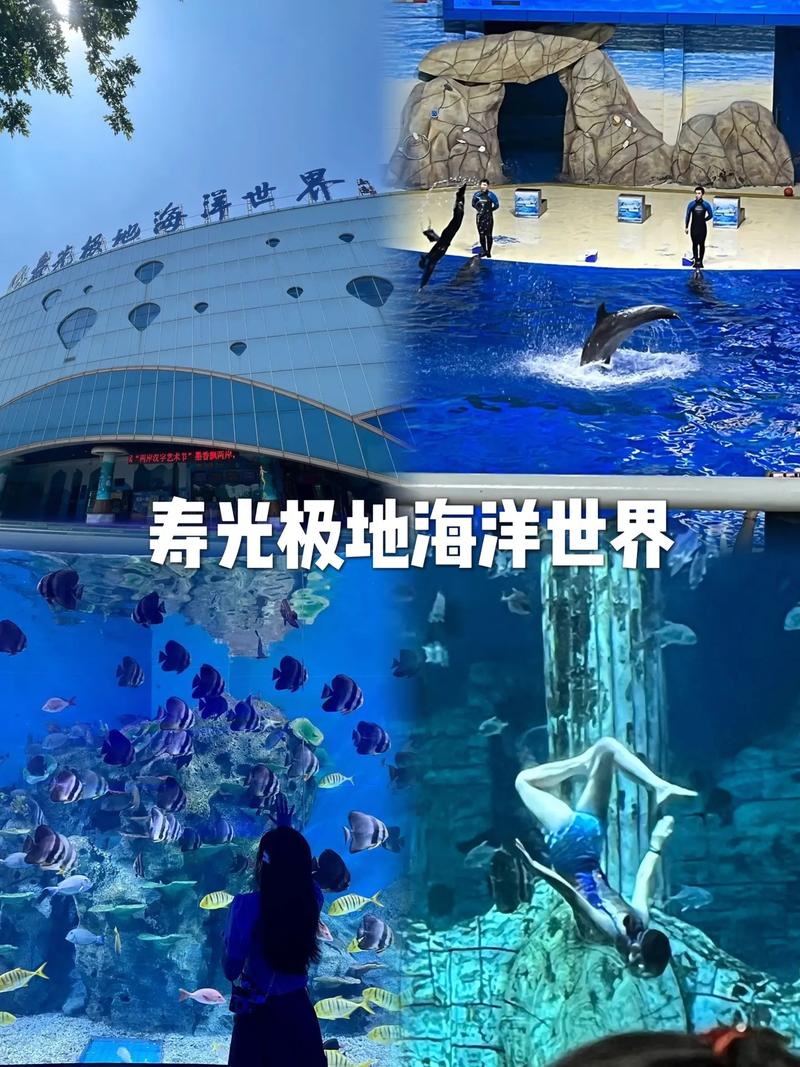 寿光极地海洋世界攻略