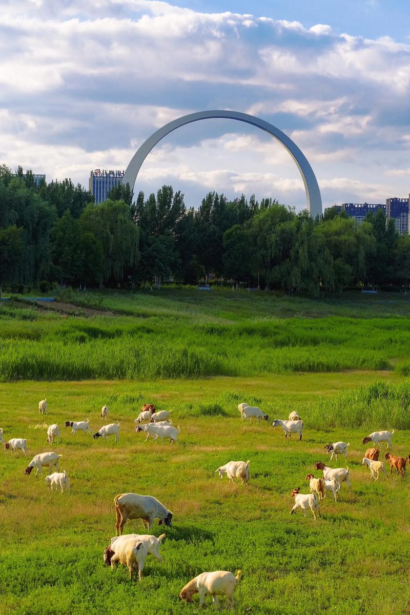 沈阳附近小众旅游景点