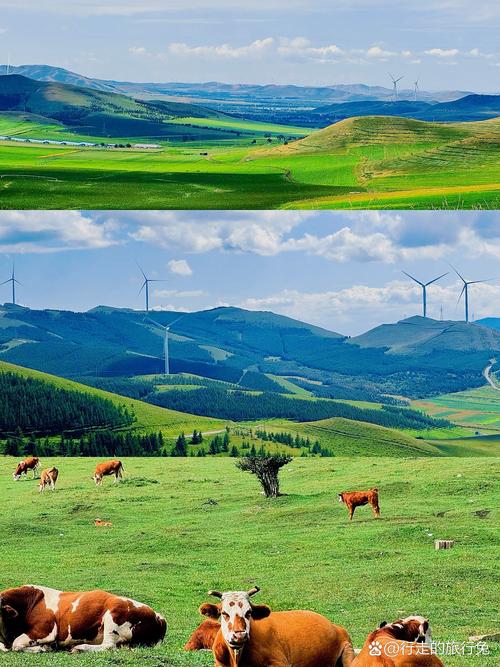 北京周边草原旅游攻略