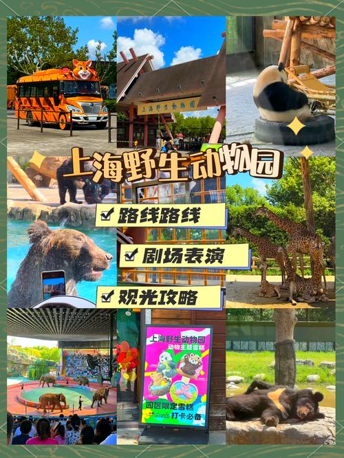 去上海野生动物园攻略