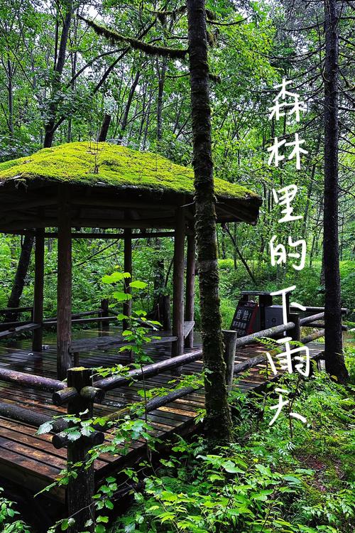 五营国家森林公园攻略