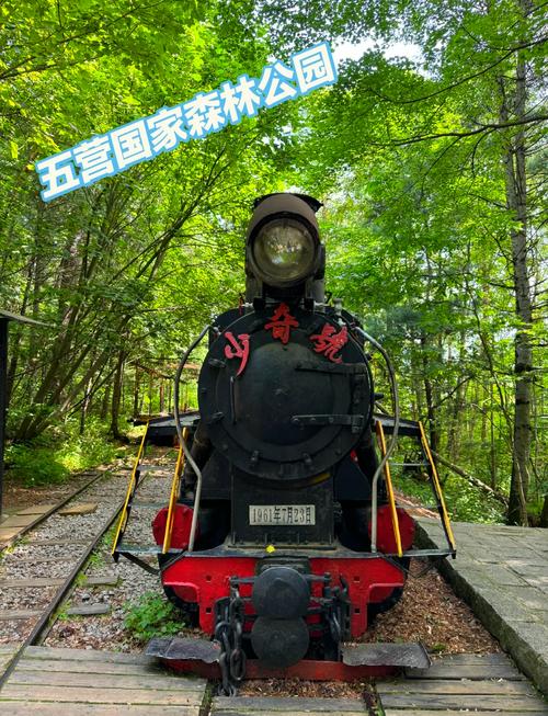 五营国家森林公园攻略