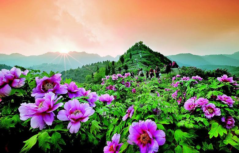 垫江县有什么旅游景点