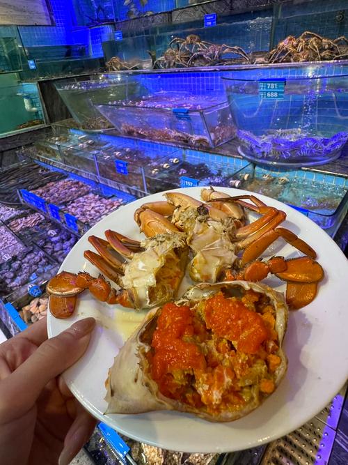 深圳海岸城附近美食