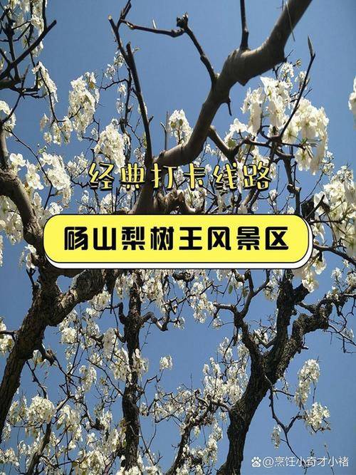 安徽砀山附近旅游景点