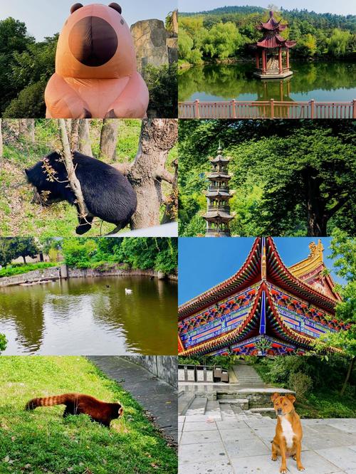 合肥都有什么旅游景点