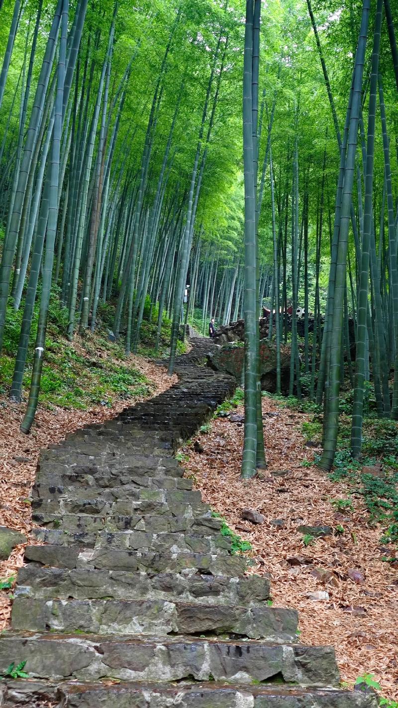 无锡宜兴竹海旅游攻略