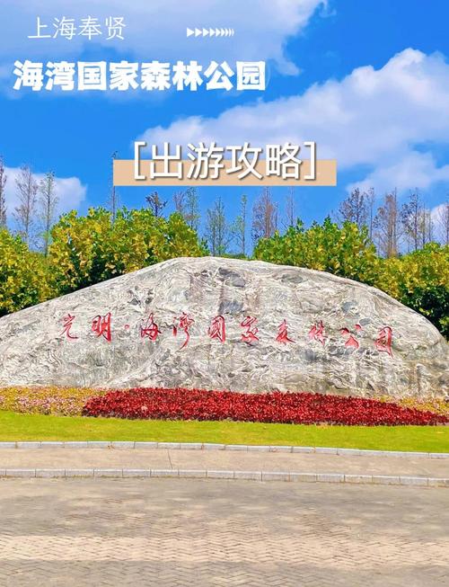 奉贤海湾森林公园攻略
