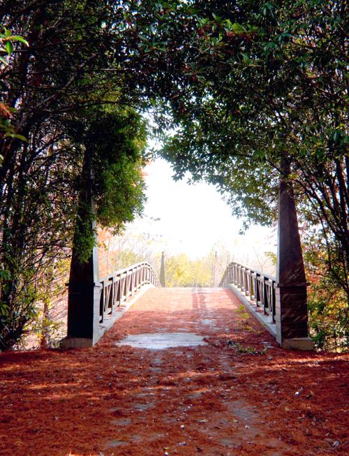 奉贤海湾森林公园攻略