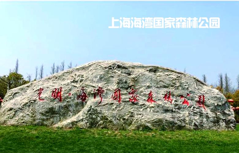 奉贤海湾森林公园攻略