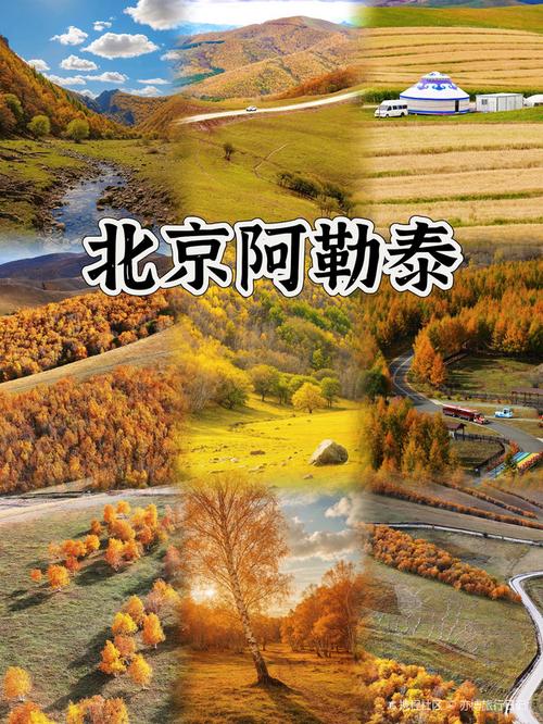北京坝上草原旅游攻略