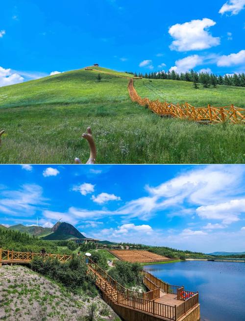 北京坝上草原旅游攻略