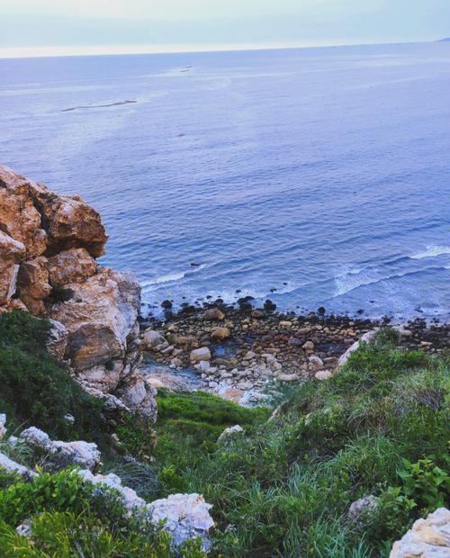 茂名旅游攻略必去景点