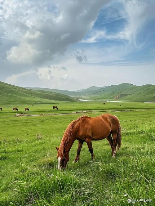 河北草原旅游景点大全