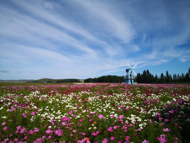 河北草原旅游景点大全