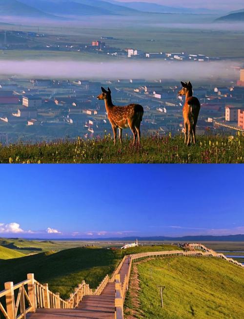 若尔盖大草原旅游攻略