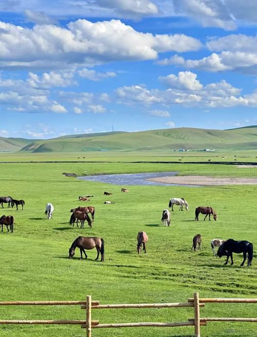 若尔盖大草原旅游攻略