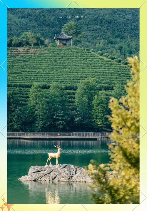 浙江秋天旅游景点推荐