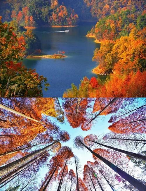 浙江秋天旅游景点推荐