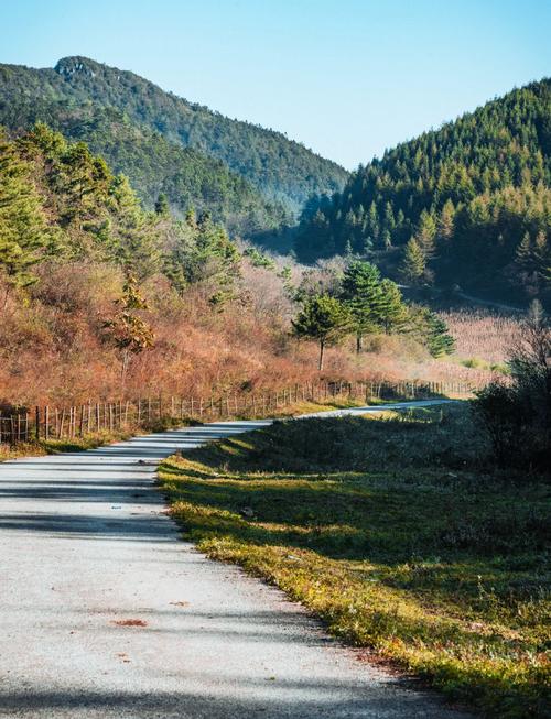 重庆附近旅游景点自驾