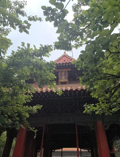 曲阜旅游景点推荐免费