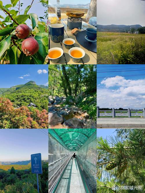 药乡国家森林公园攻略