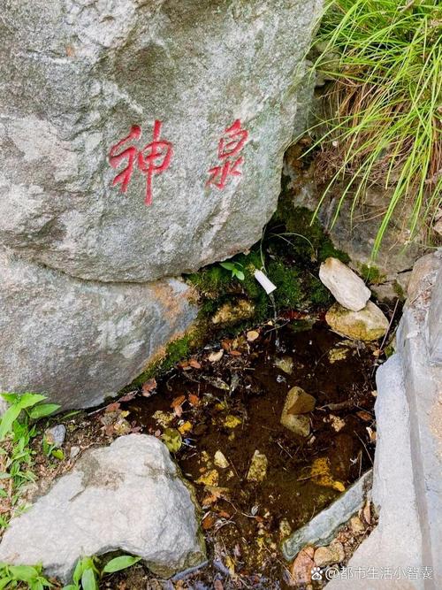 药乡国家森林公园攻略