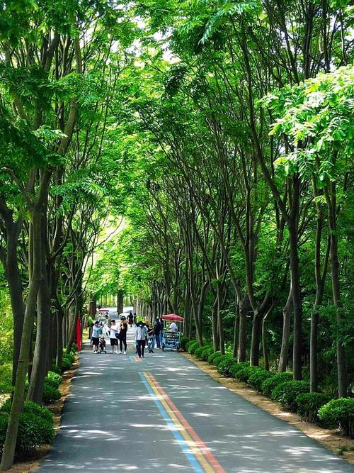 日照国家森林公园攻略