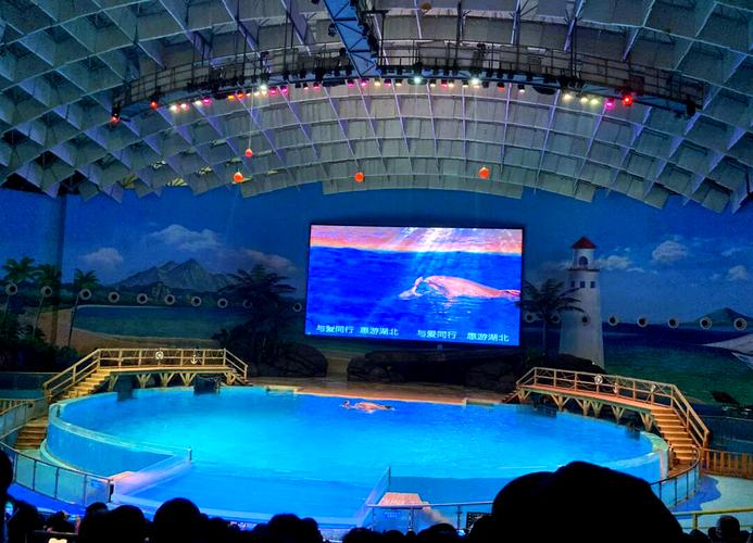 武汉海昌极地海洋攻略