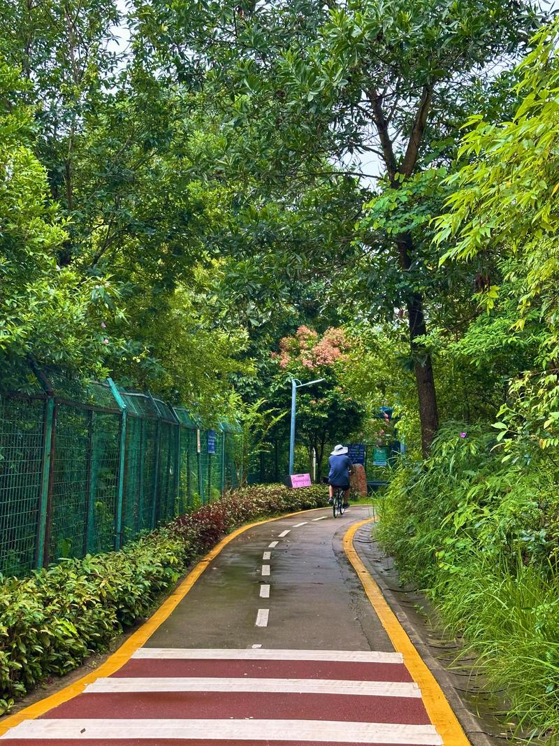 深圳东湖公园游玩攻略