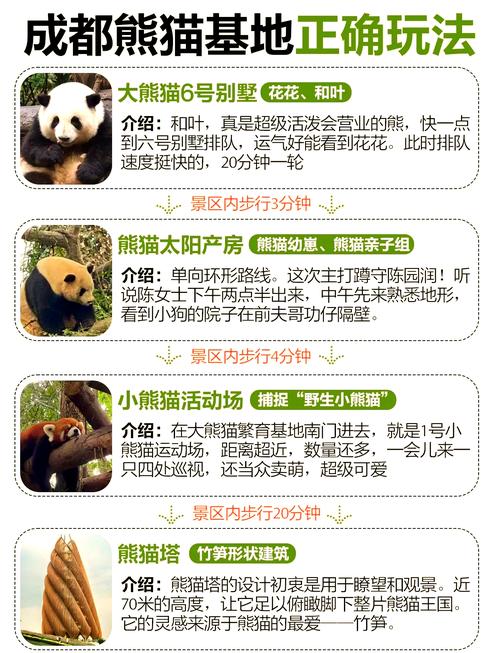 熊猫繁育基地旅游攻略