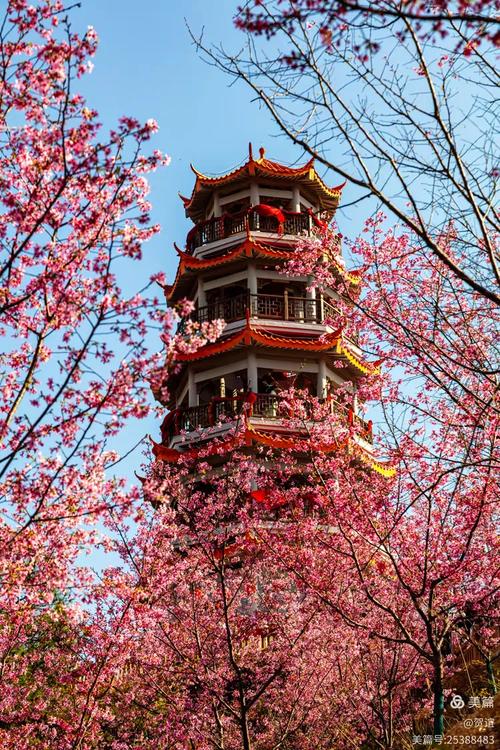 三明清流十大旅游景点