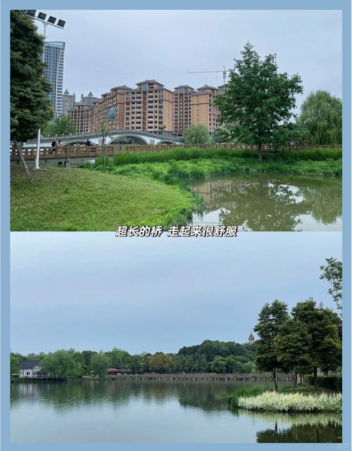 青白江旅游攻略一日游