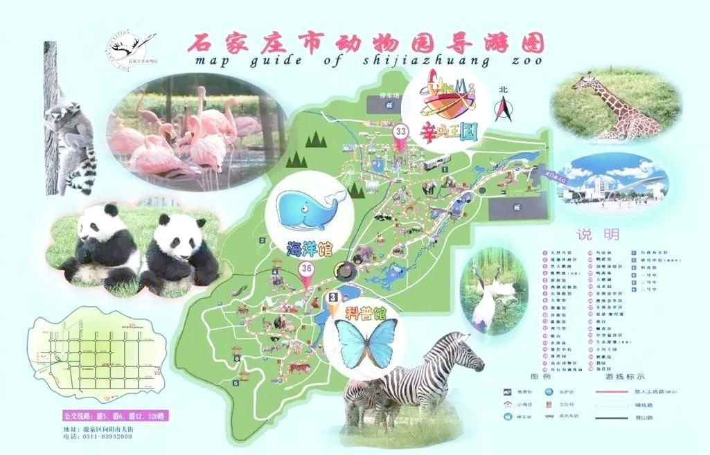 石家庄动物园旅游攻略
