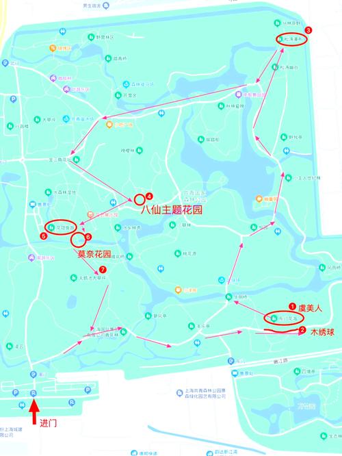 上海共青森林公园攻略