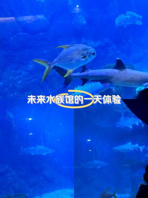 齐河极地海洋世界攻略