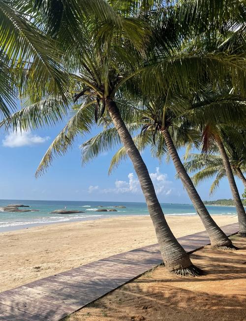 海南省文昌市旅游景点