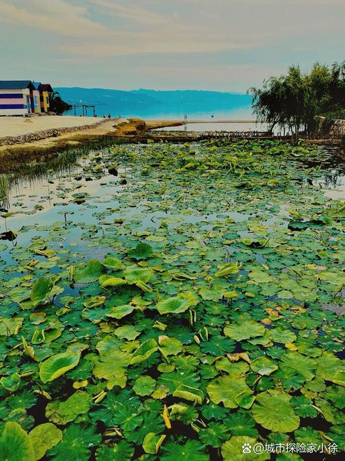 云南省玉溪市旅游景点