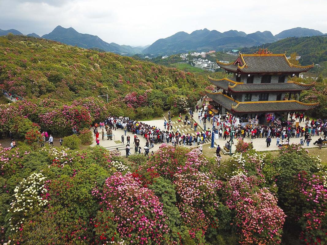 贵州省黔西县旅游景点