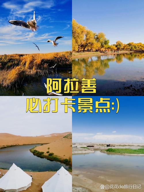 阿拉善旅游攻略自驾游