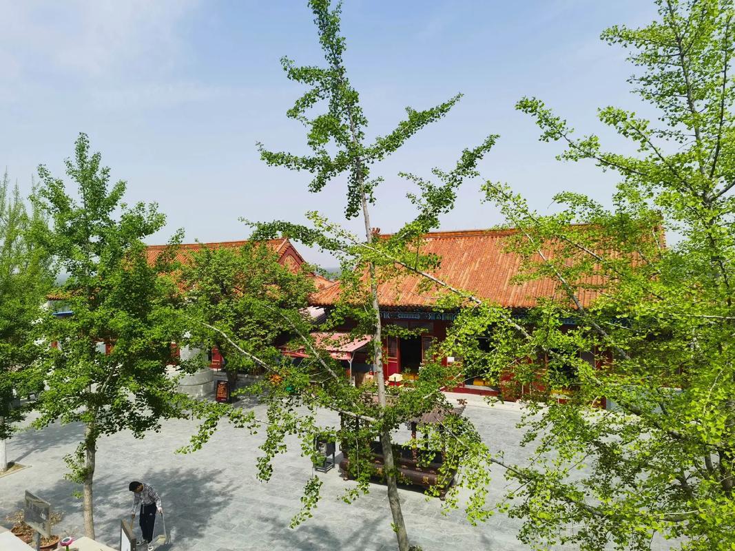 河北三河旅游景点大全